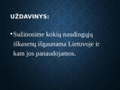 Žemės gelmių turtai (skaidrės) 2 puslapis