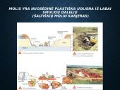 Žemės gelmių turtai (skaidrės) 15 puslapis