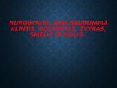 Žemės gelmių turtai (skaidrės) 19 puslapis