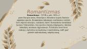 Romantizmas (skaidrės) 3 puslapis