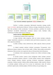 Profesinės veiklos praktikos seniūnijoje ataskaita 11 puslapis