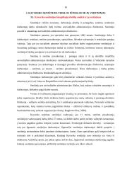 Profesinės veiklos praktikos seniūnijoje ataskaita 15 puslapis