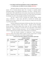 Profesinės veiklos praktikos seniūnijoje ataskaita 4 puslapis