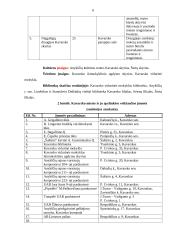 Profesinės veiklos praktikos seniūnijoje ataskaita 5 puslapis