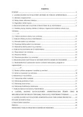 Praktikos ataskaita savivaldybės administracijoje