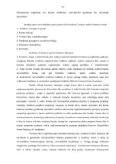 Praktikos ataskaita savivaldybės administracijoje 11 puslapis