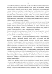 Praktikos ataskaita savivaldybės administracijoje 12 puslapis