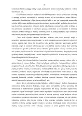 Praktikos ataskaita savivaldybės administracijoje 17 puslapis