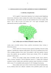 Praktikos ataskaita savivaldybės administracijoje 3 puslapis