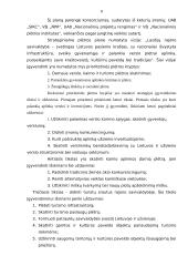 Praktikos ataskaita savivaldybės administracijoje 7 puslapis