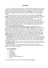 Vadovo saviugda ir grupinio darbo organizavimas 2 puslapis