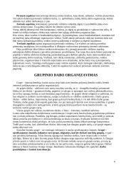 Vadovo saviugda ir grupinio darbo organizavimas 6 puslapis