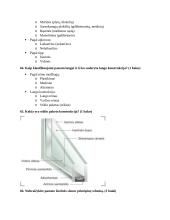 Įvadas į statybos inžineriją 16 puslapis