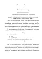 Firmos pelno maksimizavimas tobulos konkurencijos rinkoje 3 puslapis