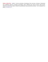 Egzamino autoriai pagal epochas 4 puslapis