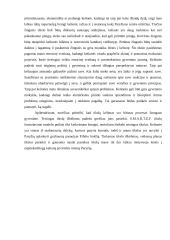 Esė apie tikslus 2 puslapis