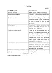 Esė apie tikslus 4 puslapis