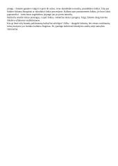 Katalikų bažnyčia viduramžiais 2 puslapis