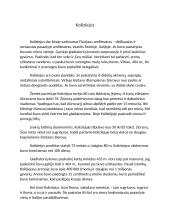 Kalba apie Koliziejų