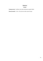 Projektinis darbas: Nafta 18 puslapis