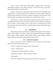 Projektinis darbas: Nafta 4 puslapis