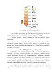 Projektinis darbas: Nafta 6 puslapis