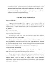 Futbolininkų maitinimasis 5 puslapis