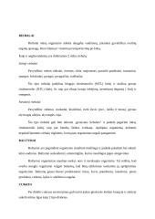 Futbolininkų maitinimasis 6 puslapis