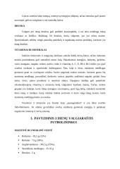 Futbolininkų maitinimasis 7 puslapis