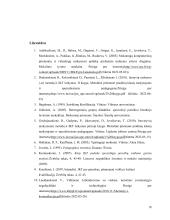 Kompensacinės kompiuterinės technologijos asmenims su IS referatas 17 puslapis