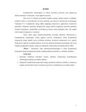 Kompensacinės kompiuterinės technologijos asmenims su IS referatas 2 puslapis