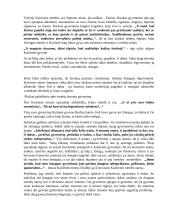 1- 2 ryškių epizodų aptarimas R. Granausko apysakoje „Gyvenimas po klevu“ 2 puslapis