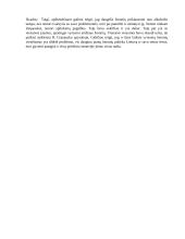 1- 2 ryškių epizodų aptarimas R. Granausko apysakoje „Gyvenimas po klevu“ 3 puslapis