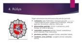 Policijos pristatymas 4 puslapis
