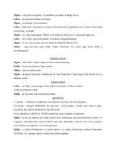 Sniego diena - scenarijus 2 puslapis