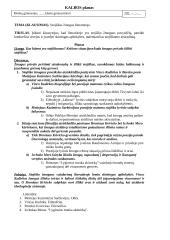 Stojiškas žmogus literatūroje. Kalbos planas