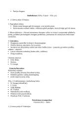 Literatūrinės srovės konspektas 11 puslapis