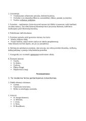 Literatūrinės srovės konspektas 12 puslapis