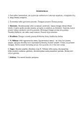 Literatūrinės srovės konspektas 13 puslapis
