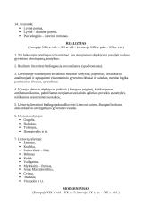 Literatūrinės srovės konspektas 8 puslapis