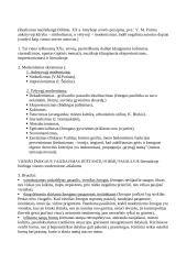 Literatūrinės srovės konspektas 9 puslapis