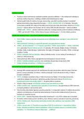 Šaltasis karas (konspektas) 2 puslapis