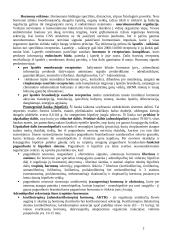 Hormoninė organizmo funkcijų reguliacija 2 puslapis