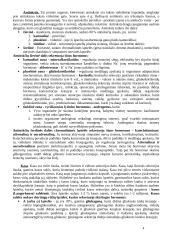 Hormoninė organizmo funkcijų reguliacija 4 puslapis