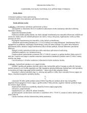 Gamybinių patalpų natūralaus apšvietimo bei apšvietimo koeficiento tyrimas