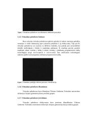 Mokinių finansinio raštingumo tyrimas ir ugdymo priemonės kūrimas naudojant IT technologijas 12 puslapis