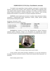 Mokinių finansinio raštingumo tyrimas ir ugdymo priemonės kūrimas naudojant IT technologijas 13 puslapis