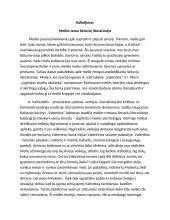 Meilės tema lietuvių literatūroje (kalba)