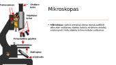 Mikroskopai 3 puslapis