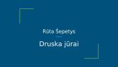 ,,Druska jūrai" knygos pristatymas